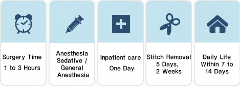 手术时间：1~3小时；麻醉方法：睡眠麻醉/全身麻醉；住院治疗：住院一天；拆线时间：5天，两周；日常生活：7~14天